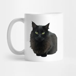Black Cat Image Mug